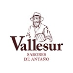 vallesur logo